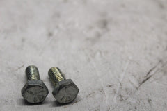 3987 FLANGE MOUNTING BOLT (2) HARLEY DAVIDSON