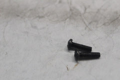 2590 MASTER CYLINDER SCREW (2) HARLEY DAVIDSON