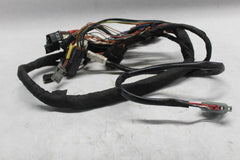 UNDER STEER HEAD WIRING HARNESS 69201717 2020 FATBOB FXFBS