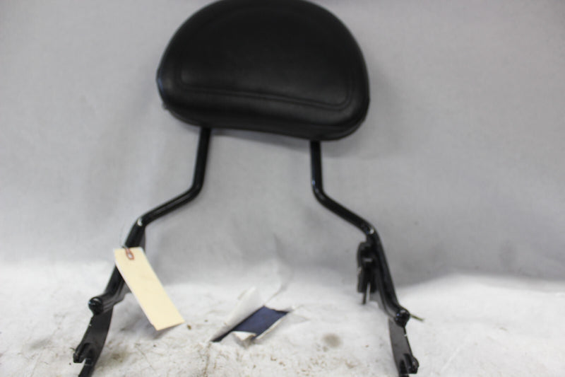 Passenger Sissy Bar w/Backrest 2009+ Harley Davidson Touring