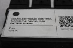 ECM (ELECTRONIC CONTROL MODULE) 41000599 2020 FATBOB FXFBS