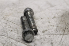 Front Brake Caliper Screw (2)44160-00 2012 SPORTSTER XL1200