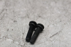 CLUTCH HALF-CLAMP SCREWS 2PCS 4132 1997 H-D ELECTRAGLIDE FLHTC-I