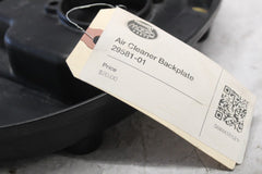 29581-08 Air Cleaner Backplate HARLEY DAVIDSON