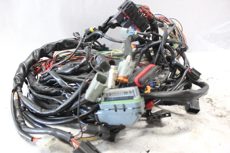70245-06 ROAD KING MAIN WIRING HARNESS EFI HARLEY DAVIDSON