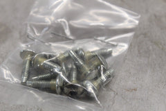 FUEL PUMP MOUNTING SCREW 10PCS 1311D 2005 HD SOFTAIL DELUXE FLSTNI