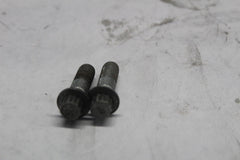 44160-00 Front Caliper Bolt (2) HARLEY DAVIDSON