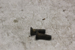 FRONT M.C. CAP SCREW 2PCS 92001-1055 1980 KAWASAKI KZ440