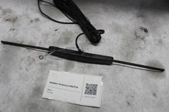 Hidden Antenna AM/FM