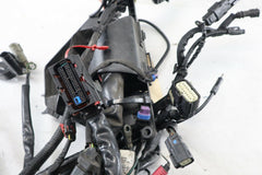 OEM Harley Davidson Main Wire Harness 2012 Roadglide Blue 69200300