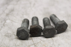 3987 FLANGE MOUNTING BOLT (2) HARLEY DAVIDSON