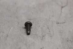 HEADLAMP DOOR SCREW 10200156  2019 HD ULTRA LIMITED LOW