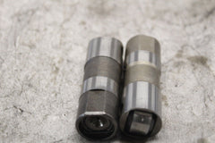 Hydraulic Lifter (2) 18538-99 HARLEY DAVIDSON