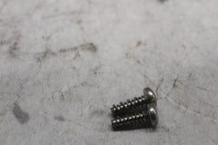 3596 TETHER STRAP SCREW (2) HARLEY DAVIDSON