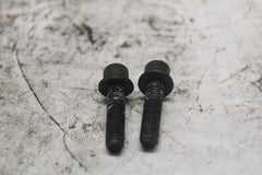 10500022 REAR MASTER SCREW HARLEY DAVIDSON