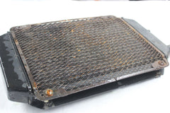 RADIATOR W/ SCREEN 39060-1164, 14037-1200 1996 KAWASAKI VN800