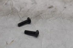 2590 MASTER CYLINDER SCREW (2) HARLEY DAVIDSON