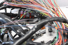 70245-06 ROAD KING MAIN WIRING HARNESS EFI HARLEY DAVIDSON