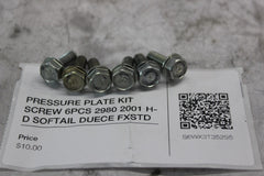 PRESSURE PLATE KIT SCREW 6PCS 2980 2001 H-D SOFTAIL DUECE FXSTD