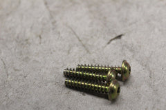 250000949 CANISTER HOLDER SCREW 3PCS 2023 CAN AM RYKER SPORT 900 ACE