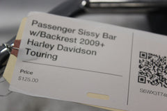 Passenger Sissy Bar w/Backrest 2009+ Harley Davidson Touring