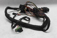 UNDER STEER HEAD WIRING HARNESS 69201717 2020 FATBOB FXFBS