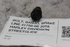 BOLT, BANJO, BRAKE LINE 41750-06 2018 HARLEY DAVIDSON STREETGLIDE