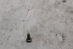 HEADLAMP DOOR SCREW 10200156  2019 HD ULTRA LIMITED LOW