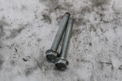 FORK CAN SCREW (2) 10200042 HARLEY DAVIDSON