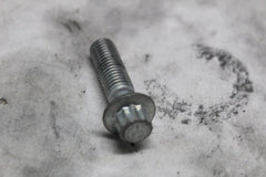 Front Brake Caliper Screw (2) 44160-00 2022 HARLEY DAVIDSON ROADGLIDE