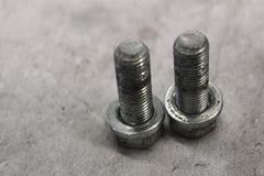 STEERING STEM PINCH BOLT 2PCS 4729 2005 HD SOFTAIL DELUXE FLSTNI