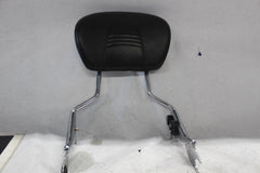 Passenger Sissy Bar w/Backrest 2009+ Harley Davidson Touring