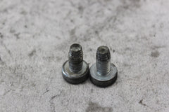 SADDLEBAG GUARD SCREW 2PCS 3676 2010 H-D ULTRA CLASSIC FLHTCU