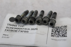 TRANS TOP SCREW (6) 4741A 2020 FATBOB FXFBS