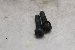 CLUTCH HALF-CLAMP SCREWS 2PCS 4132 2005 HD SOFTAIL DELUXE FLSTNI