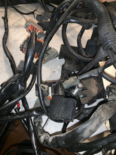 OEM Harley Main Wire Harness 2004 FLHT 70985-04