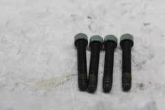 STATOR MOUNTING SCREW 4PCS 2918 2000 H-D ELECTRAGLIDE FLHT
