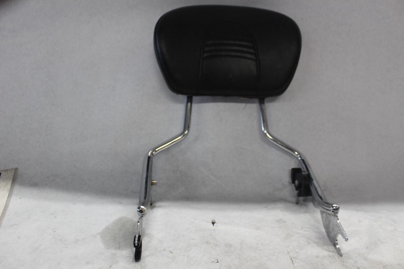 Passenger Sissy Bar w/Backrest 2009+ Harley Davidson Touring