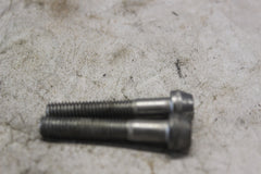 FRONT FORK LOWER PINCH BOLT 2PCS 51166-24F00 2002 SUZUKI HAYABUSA GSX1300R