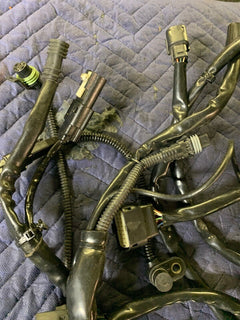 Harley Davidson Main Wire Harness 70377-09 Touring Models
