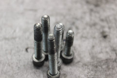 Clutch Release Cover Screws #4718A 4pcs,#4741A 2pcs 2008 H-D ELECTRAGLIDE FLHT