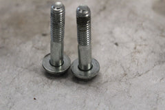 INNER PRIMARY SIDE SCREWS (2) 2887WA 2005 HD SOFTAIL DELUXE FLSTNI