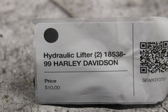 Hydraulic Lifter (2) 18538-99 HARLEY DAVIDSON