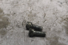 LOCKPLATE SCREW 2PCS 3594 2005 ROAD KING CUSTOM FLHRSI