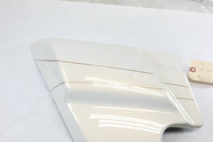 OEM Harley Davidson LEFT Side Cover 66250-09