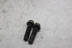 LEFT REAR COVER SCREW (2) 96001-06025-07  1998 HONDA CBR900RR