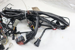 70245-02 ROAD KING Main Wire Harness HARLEY DAVIDSON