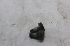 SADDLEBAG GUARD SCREW 2PCS 3676 2010 H-D ULTRA CLASSIC FLHTCU