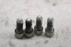 INDUCTION MODULE MOUNTING BOLTS 4PCS 3275 HARLEY-DAVIDSON