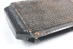 RADIATOR W/ SCREEN 39060-1164, 14037-1200 1996 KAWASAKI VN800